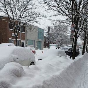 Meet your Posher, Amina